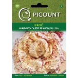 LISTNA ZELENJAVA VILMORIN RADIČ VARIEGATA CASTELFRANCO DI LUSIA