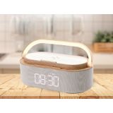 RADIOURA MANTA RDI920