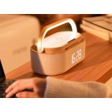 RADIOURA MANTA RDI920