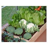 RASTLINJAK BELLA 8X8 + KOMPLET ZA KAPLJIČNO NAMAKANJE.