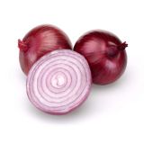 ČEBULA L'ORTO FRUTTIFERO RDEČA 9/1 SAVONESE KULTIPAK