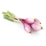 ČEBULA L'ORTO FRUTTIFERO RDEČA 9/1 TROPEANA DOLGA KULTIPAK