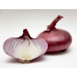 ČEBULA L'ORTO FRUTTIFERO RDEČA 9/1 VER.DI FIRENZE KULTIPAK