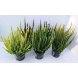 RESA CALLUNA SKYLINE MIX L10.5