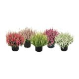 RESA JESENSKA RESA C.V.BEAUTY LADY MIX