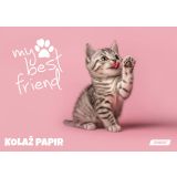 RISALNI LISTI,KOLAŽ PAPIR TARGET KOLAŽ A4 20 L MY BEST FRIENDS 100GR. 28887