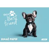 RISALNI LISTI,KOLAŽ PAPIR TARGET KOLAŽ A4 20 L MY BEST FRIENDS 100GR. 28887