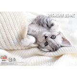 RISALNI BLOK TARGET A3 20 LISTOV 140 G ANIMAL BABY 26067