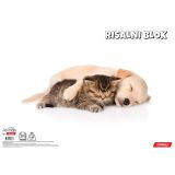 RISALNI BLOK TARGET A3 20 LISTOV 140 G ANIMAL BABY 26067