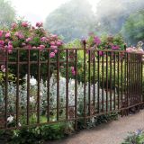 VRTNA OGRAJA ROSETTE 90 V X 122 Š BARVA RJE