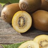 SADNO DREVO KIVI ACTINIDIA AIR GOLD