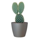 PE NOTRANJI LONEC SAN REMO MAT ANTRACIT 14 CM