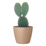 PE NOTRANJI LONEC SAN REMO MAT BEIGE 18CM