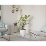 PE NOTRANJI LONEC SAN REMO MAT BEL 30CM S KOLEŠČKI