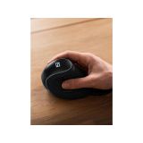 MIŠKA/KAZALNIK SANDBERG SB63013 MIŠKA