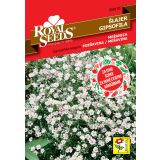 SEME CVETOČE RASTLINE ROYAL SEEDS ENOLETNI ŠLAJER MEŠANICA 155