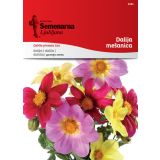 SEME CVETOČE RASTLINE SEMENARNA DALIJA MEŠANICA 3045