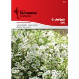 SEME CVETOČE RASTLINE SEMENARNA GROBELJNIK BELI 2086