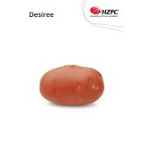 SEME KROMPIRJA DESIREE 2.5 KG