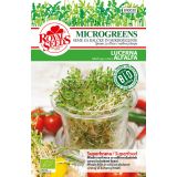 SEME VRTNINE ROYAL SEEDS BIO LUCERNA 50 G