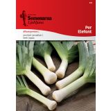 SEME VRTNINE SEMENARNA POR ELEFANT 616