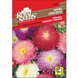 ASTRA ROYAL SEEDS PRINCES MEŠ. 17