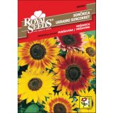 SONČNICA ROYAL SEEDS VISOKA MEŠ. 95