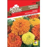 TAGETES ROYAL SEEDS ŽAMETNICA CALANDO MEŠ. 69