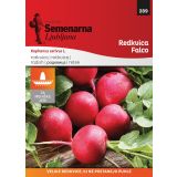 KORENOVKA SEMENARNA REDKVICA FALCO