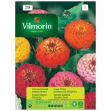 CINIJA VILMORIN LEPA DVOBARVNA MEŠANICA