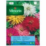 CINIJA VILMORIN LEPA MEŠANICA KAKTEJA