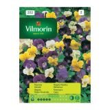SEMENA CVETOČIH RASTLIN VILMORIN MAČEHA CORNUTA MIX