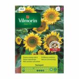SONČNICA VILMORIN NIZKA SUNSPOT