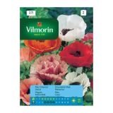 MAK VILMORIN ORIENTALSKI, MEŠANICA