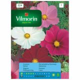 SEMENA CVETOČIH RASTLIN VILMORIN PERNATOLISTNA KOZMEJA MEŠANICA