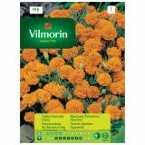SEMENA CVETOČIH RASTLIN VILMORIN RJAVKASTA ŽAMETNICA ORANŽNA