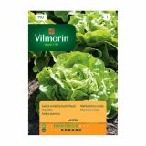 SEMENA CVETOČIH RASTLIN VILMORIN SOLATA LENTO