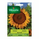 SONČNICA VILMORIN BIG SMILE