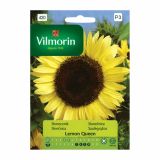 SONČNICA VILMORIN LEMON QUEEN