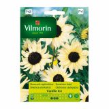 SONČNICA VILMORIN VANILLA ICE
