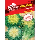 ENDIVIJA MEŠANICA SORT