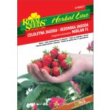SEME VRTNINE ROYAL SEEDS JAGODA MERLAN F1 HL 27