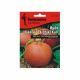 PLODOVKA SEMENARNA BUČKE UCHIKI KURI 700 HOKKAIDO V MALI VREČKI