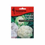 KAPUSNICA SEMENARNA CVETAČA ERFURTSKA V MALI VREČICI 3