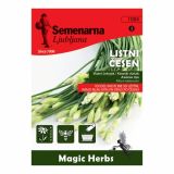 SEMENA SEMENARNA KITAJSKI DROBNJAK-LISTNI ČESEN 1084 M.V. HERBS