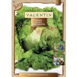 SEMENA SEMENARNA SOLATA 365 GRAZER KRAUTHAUPTEL 2