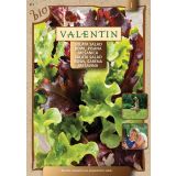 SEMENA VALENTIN SOLATA SALAD BOWL PISANA MEŠANICA