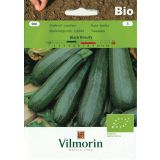 PLODOVKA VILMORIN BIO BUČKA BLACK BEAUTY