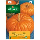 PLODOVKA VILMORIN BUČA RDEČA ROUGE VIF D'ETAMPES