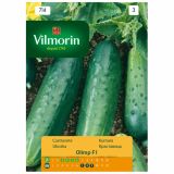 PLODOVKA VILMORIN KUMARA OLIMP F1